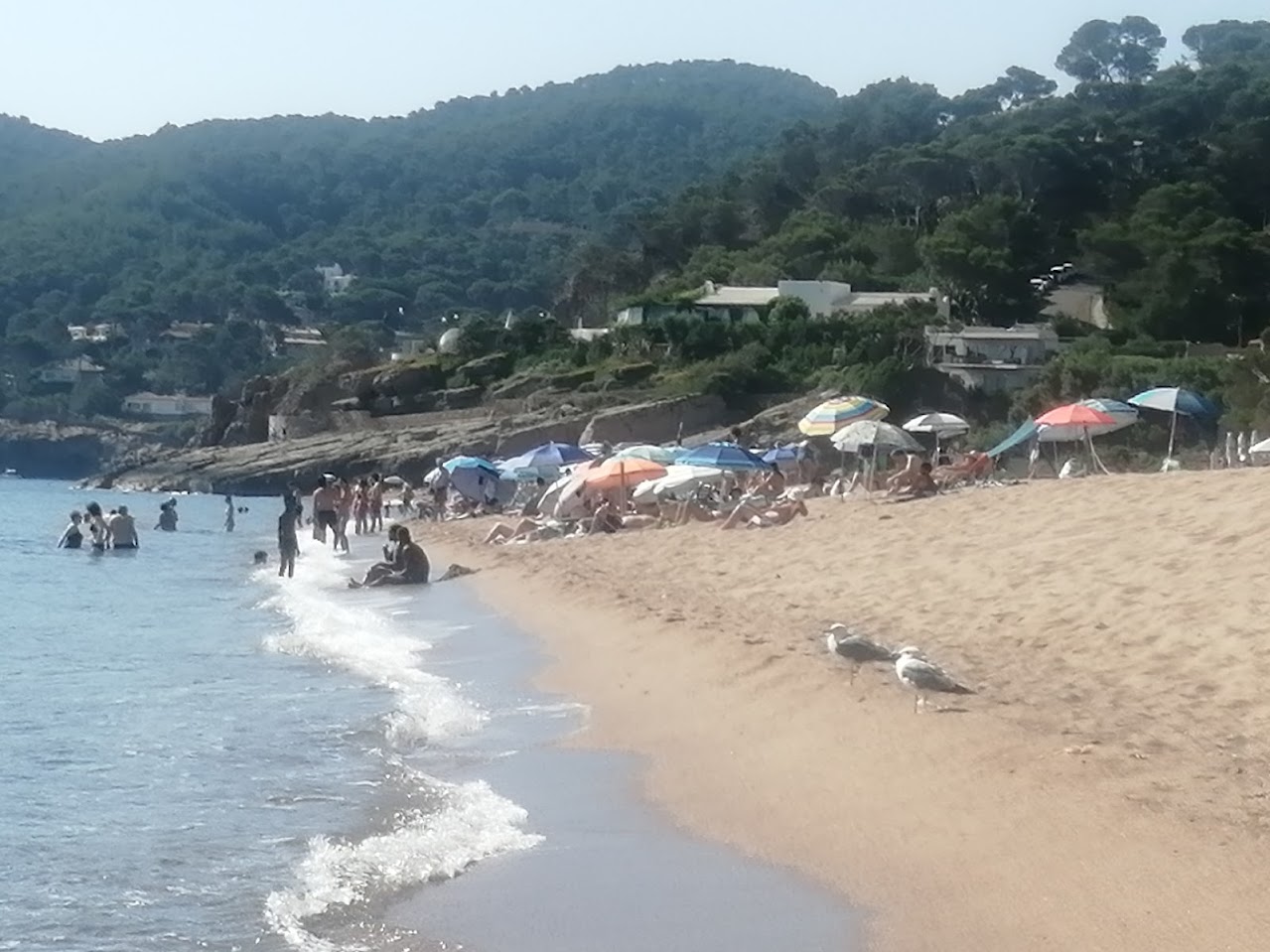 Platja de Pals